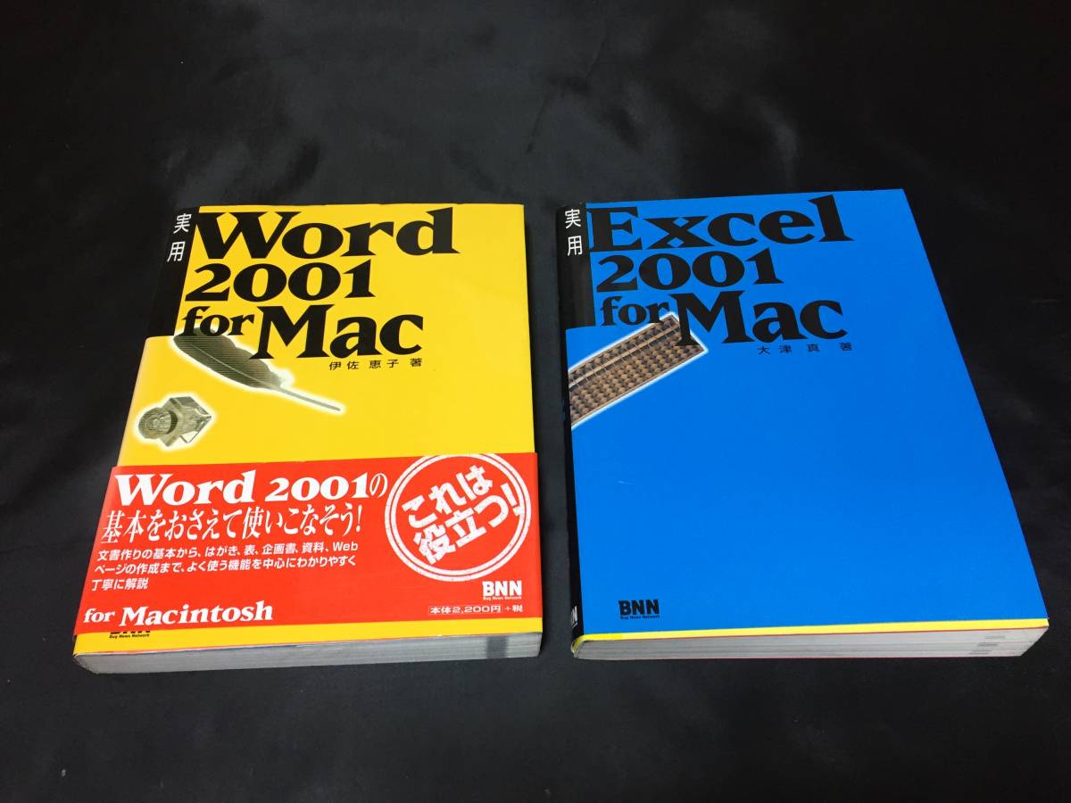 【現品のみ！ 1オーナー！当時物！希少！　本 EXCEL for Mac 2001　WORD for Mac 2001 /// EXCEL WORD 2001 もう手に入らない 】_画像1