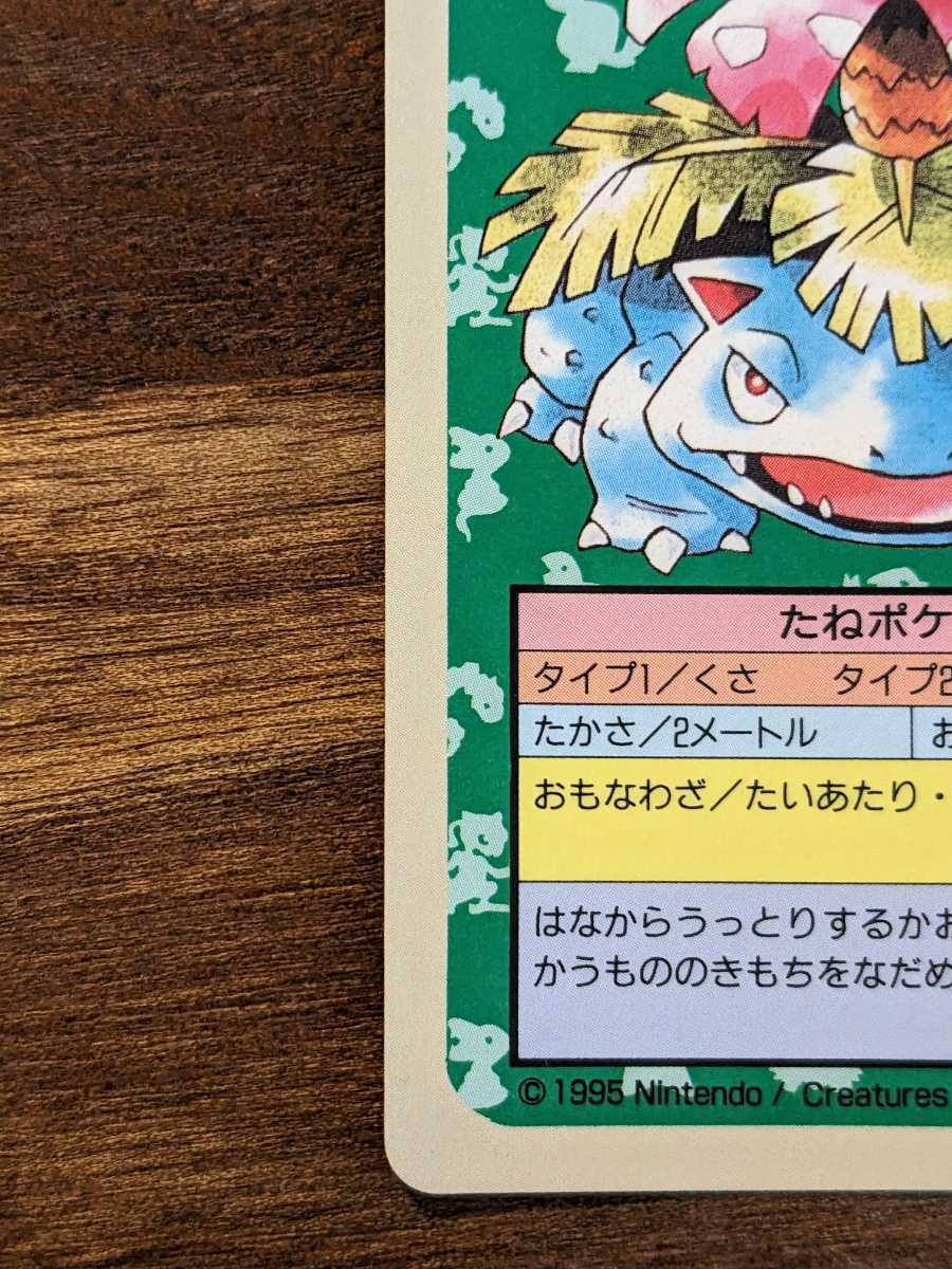 トップサン　ポケモンカード フシギソウ フシギバナ エラー　番号なし 裏 青_画像8