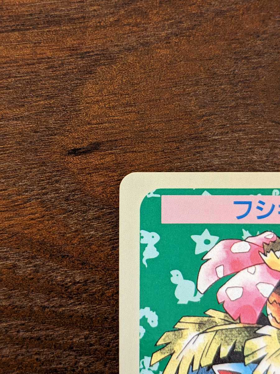 トップサン　ポケモンカード フシギソウ フシギバナ エラー　番号なし 裏 青_画像9