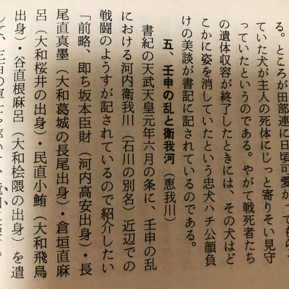 大阪春秋 第19号 おおさかの橋と川 石川流域周辺の古代史・点描壬申の乱と衝我川 樫井川をめぐる人々、縞団右衛門藤原定家衣通姫 ②Aの画像5