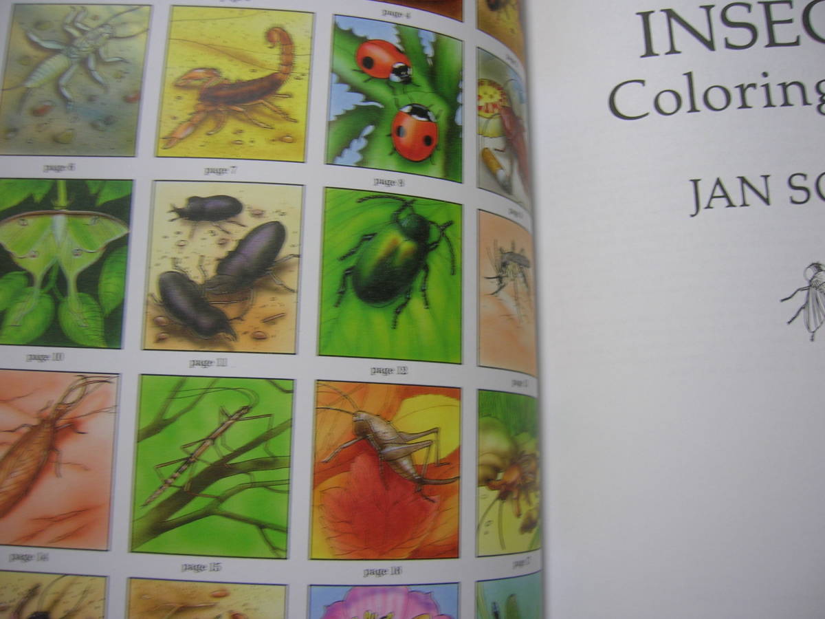 即■洋書「塗り絵・昆虫」148円大人も子供も楽しめます！！廃番手持ち在庫限り_画像2