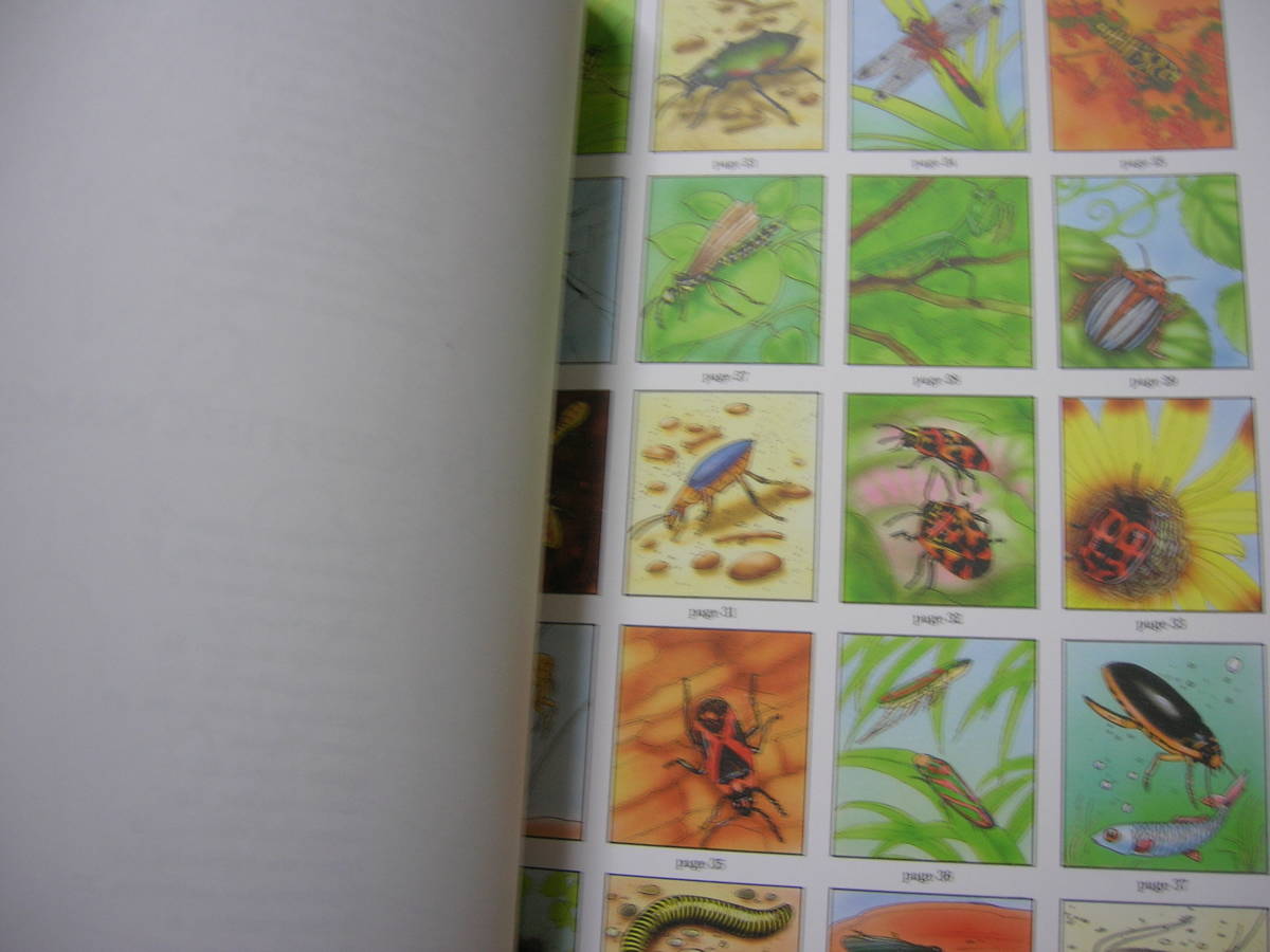 即■洋書「塗り絵・昆虫」148円大人も子供も楽しめます！！廃番手持ち在庫限り_画像3