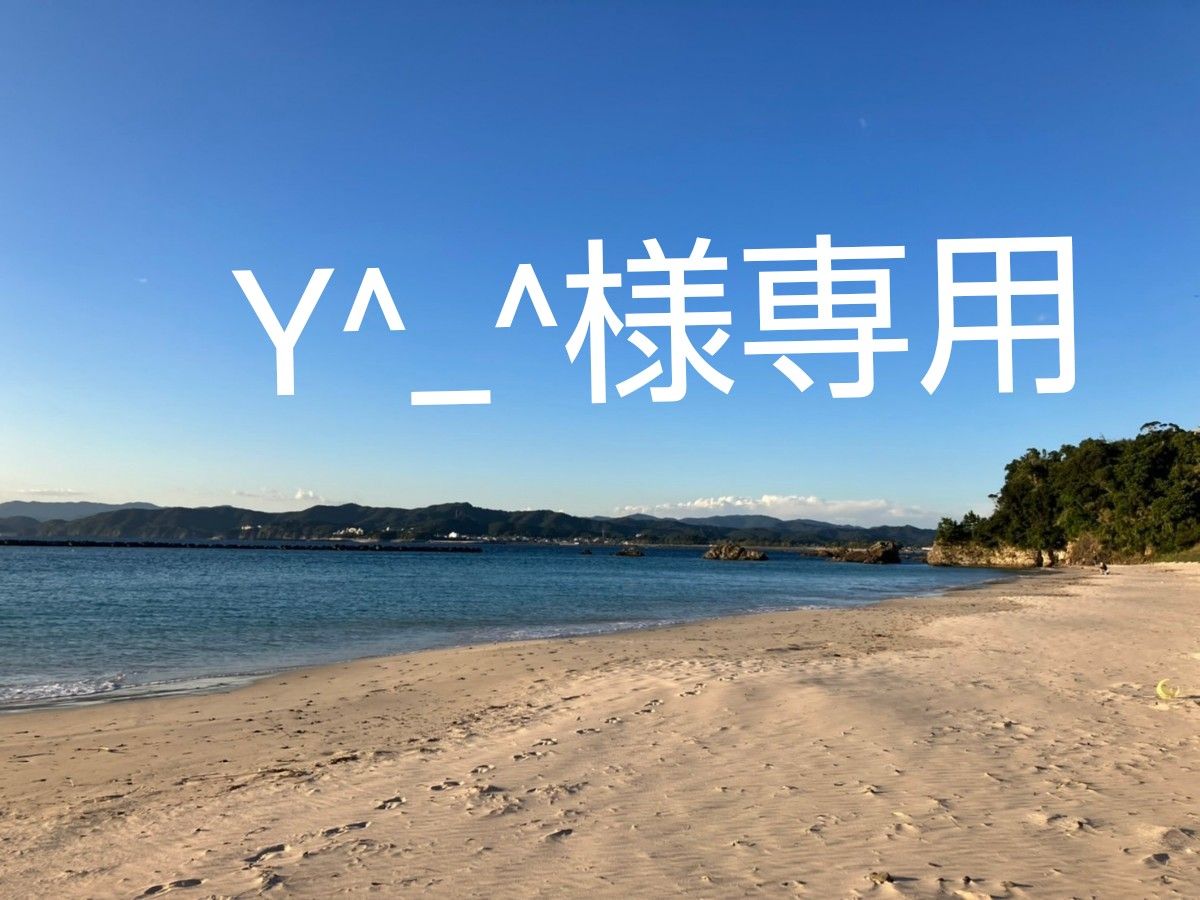 Y^_^様専用ページ まとめ売り|PayPayフリマ