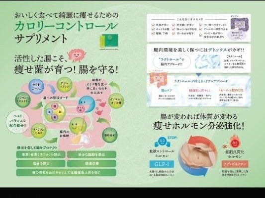 【新商品】ENEW PROTECT FIBER エニュー プロテクトファイバー マッコイ