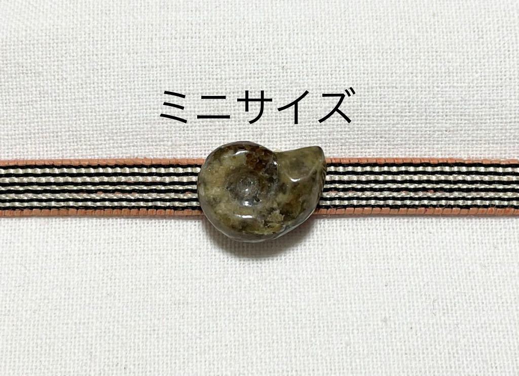 NO.427 ミニサイズ 帯留め アンモナイト 化石 リメイク品 (帯留 帯飾り 和装小物)ハンドメイド品