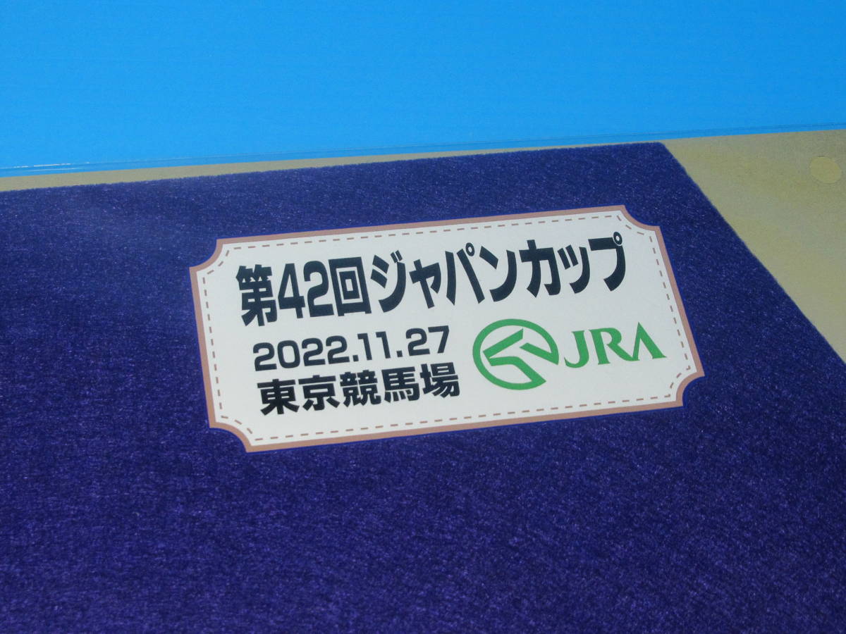 匿名送料無料 ★第42回 ジャパンカップ GⅠ 優勝 ヴェラアズール ミニゼッケン 18×25センチ ☆JRA 東京競馬場 限定販売 2022.11.27 即決！_画像3