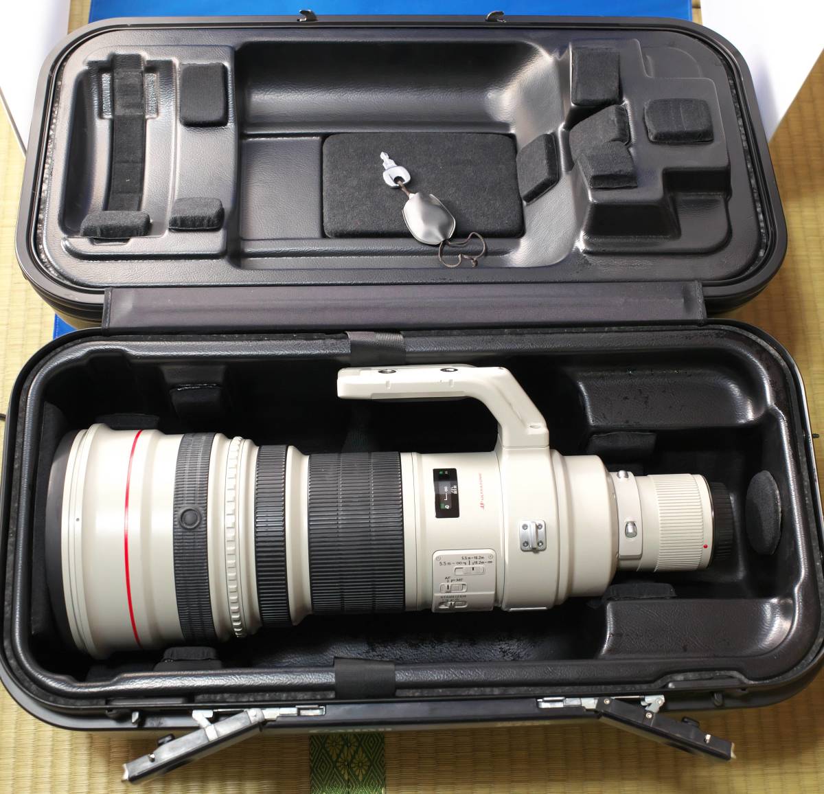 ○Canon EF 600mm F/４L IS付 USM Lens
