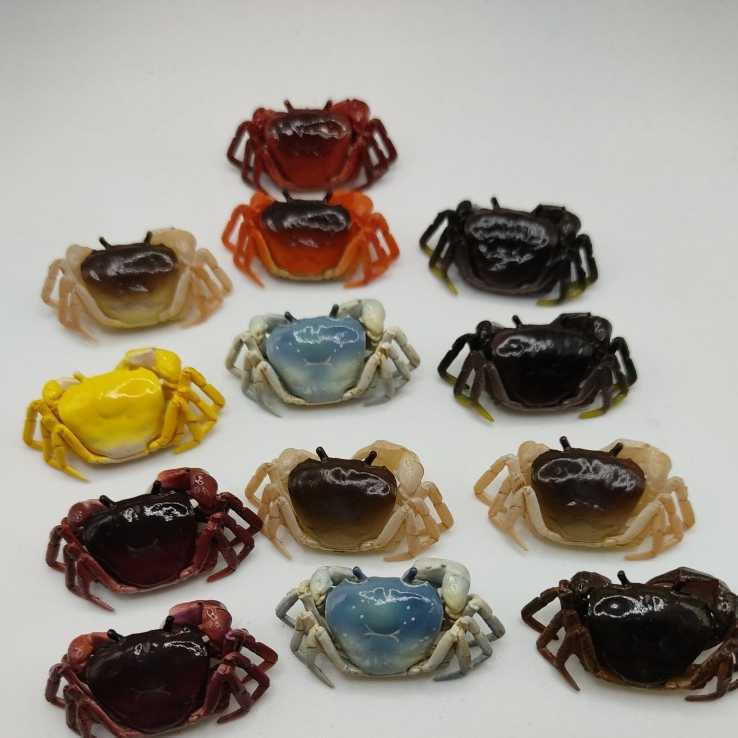 サワガニ カニマグネット 7点セット - 通販 - hanackenovinky.cz