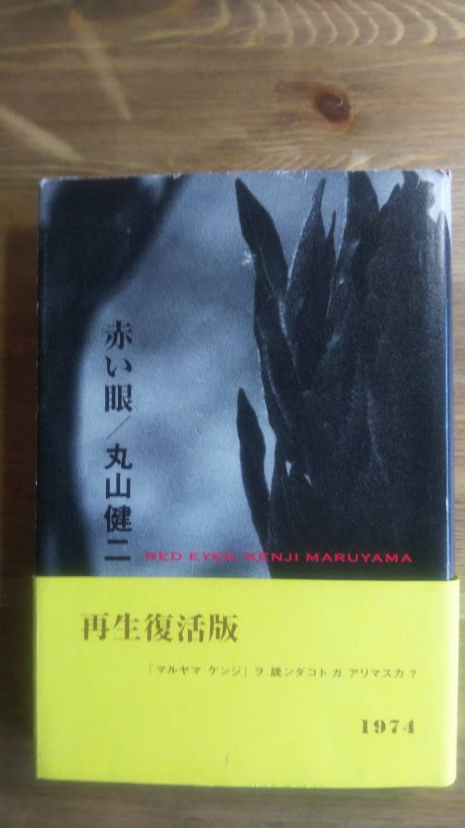 （TB‐104）　赤い眼 単行本（再生復活版）　　著者＝丸山健二　　　発行＝求龍堂