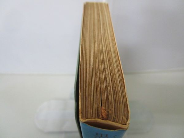黒蜥蜴 Yo0412-bc3-nn217489 小説一般 | casey.co.nz