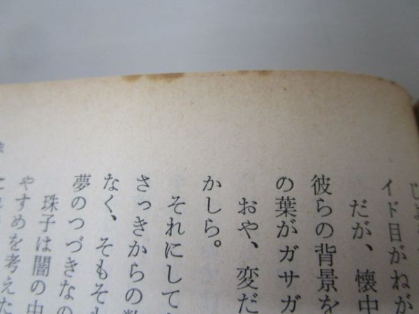 黒蜥蜴 Yo0412-bc3-nn217489 小説一般 | casey.co.nz