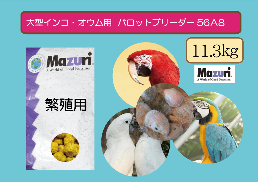 大特価【Mazuriマズリ】大型インコ・オウム56A9 パロットブリーダー 11.3ｋｇ _画像1