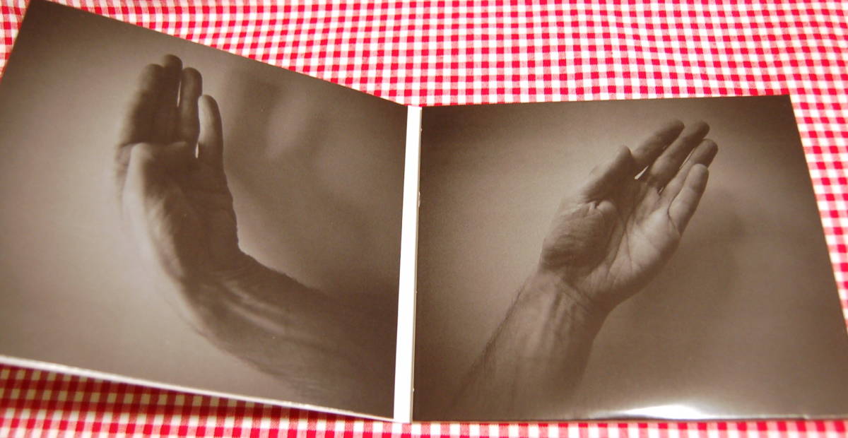 【送料無料 新品】richard skelton【A Guidonian Hands】最新CD 新品美品_画像2