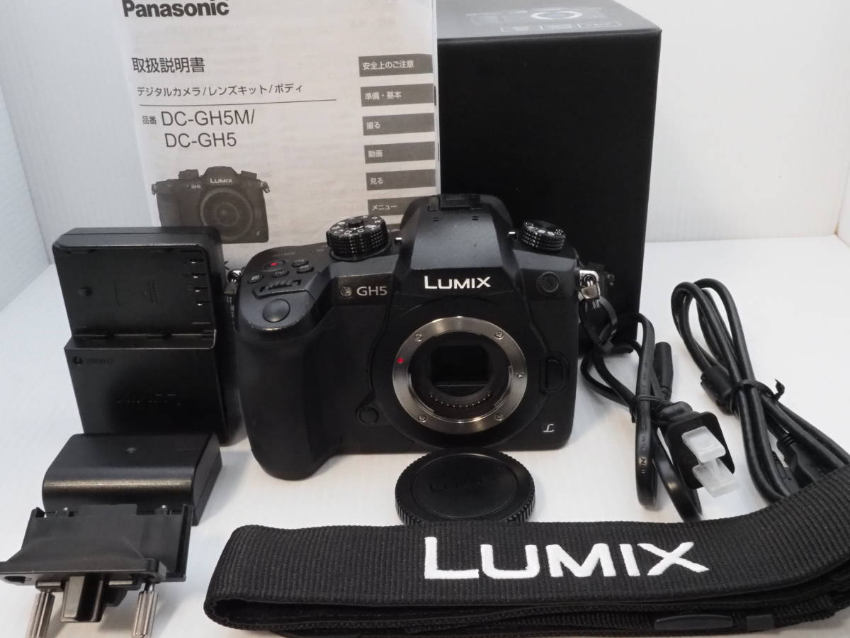 レビュー投稿で選べる特典 美品 Panasonic ミラーレスカメラ LUMIX DC