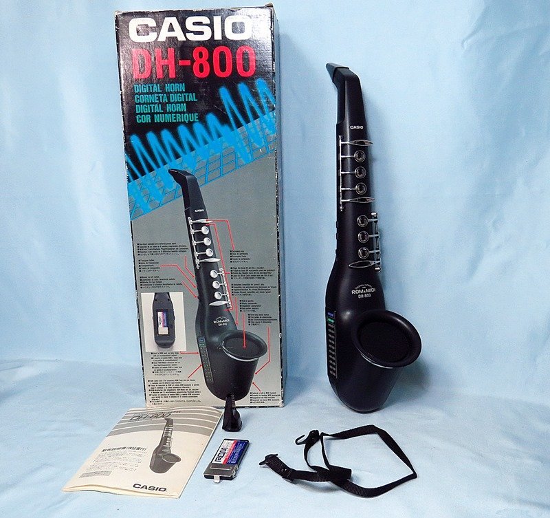 CASIO(カシオ) デジタルホーン DH-800（動作品）-