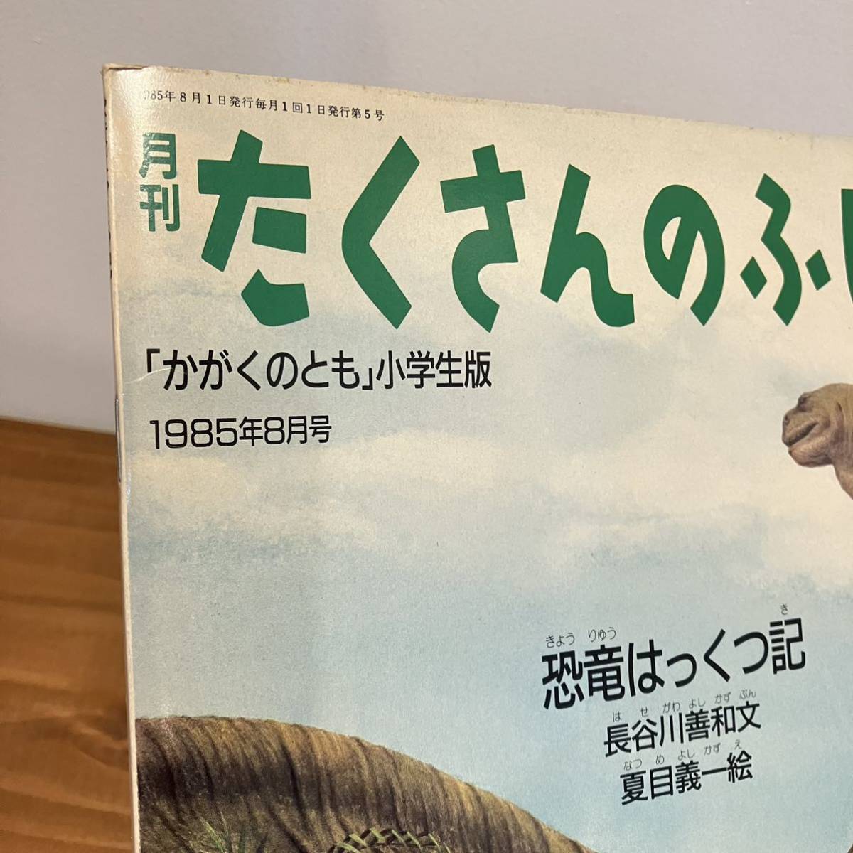 221201 月刊たくさんのふしぎ 1985年8月号「恐竜はっくつ記」長谷川善和 文 夏目義一 絵★かがくのとも当時物絵本美品_画像7