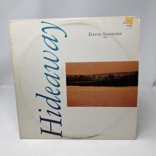 DAVID SANBORN HIDEAWAY BSK-3379 LP VINYL RECORD VG #246 海外 即決