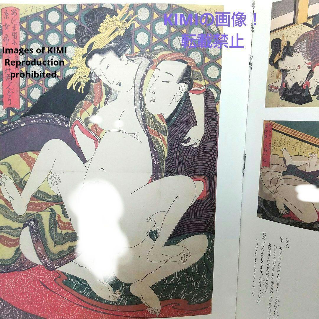 春画　秘めたる笑いの世界　ヘルシンキ市立美術館/浮世絵春画展　単行本 白倉 敬彦 (編集), 早川 聞多 (編集)　春画美術　洋泉社_画像5