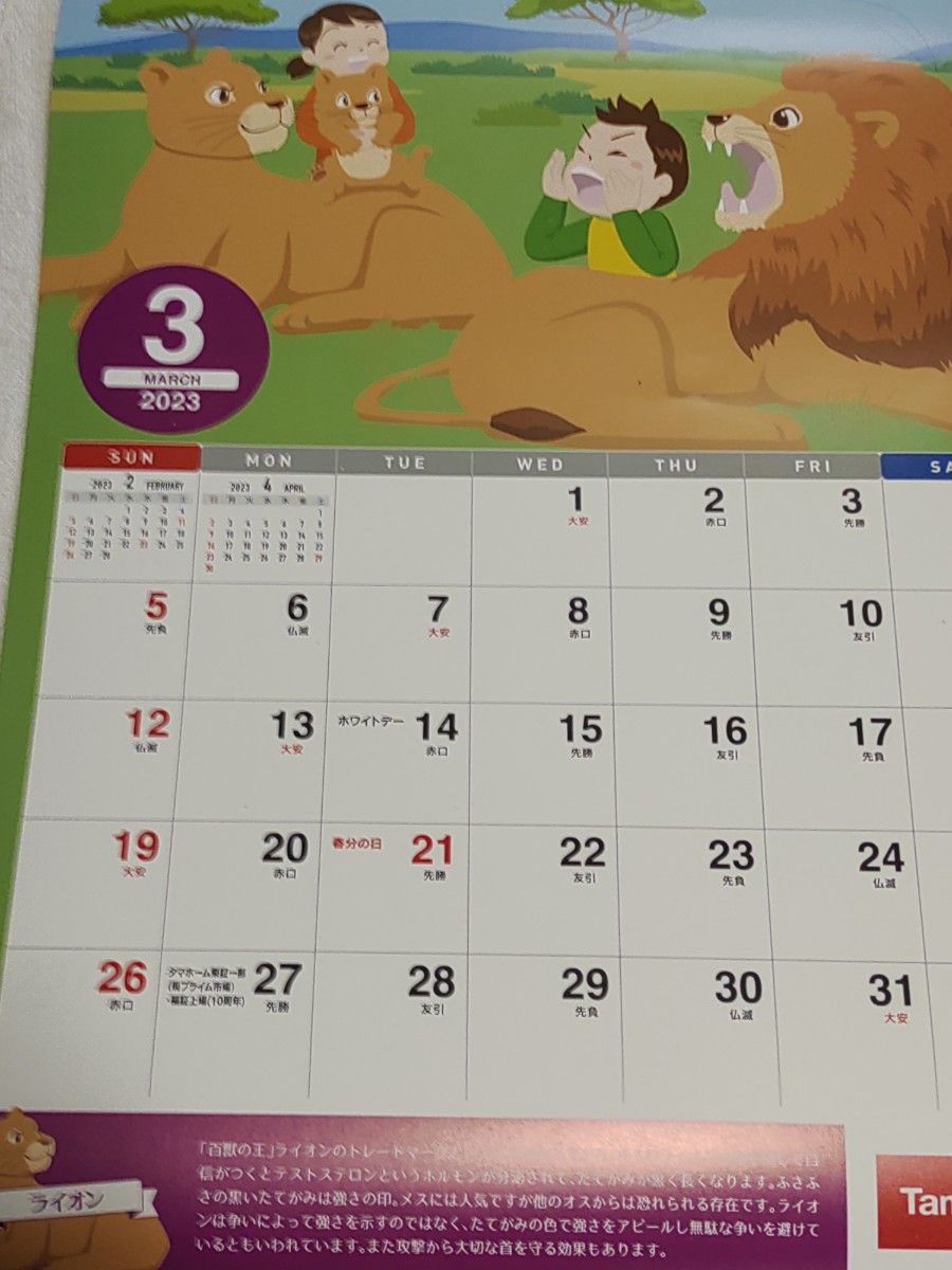 2023年 動物カレンダー 壁掛けカレンダー きらきら動物 calendar タマホーム｜PayPayフリマ