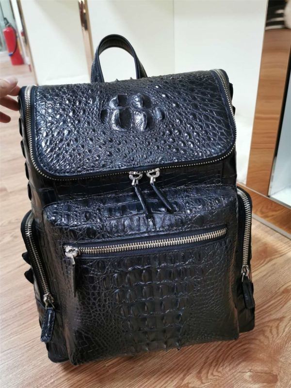 限定【クロコダイル 】ワニ革 背革 リュックサック 鞄 デイパック ビジネスバック 旅行バッグ 本物保証 大容量 通勤