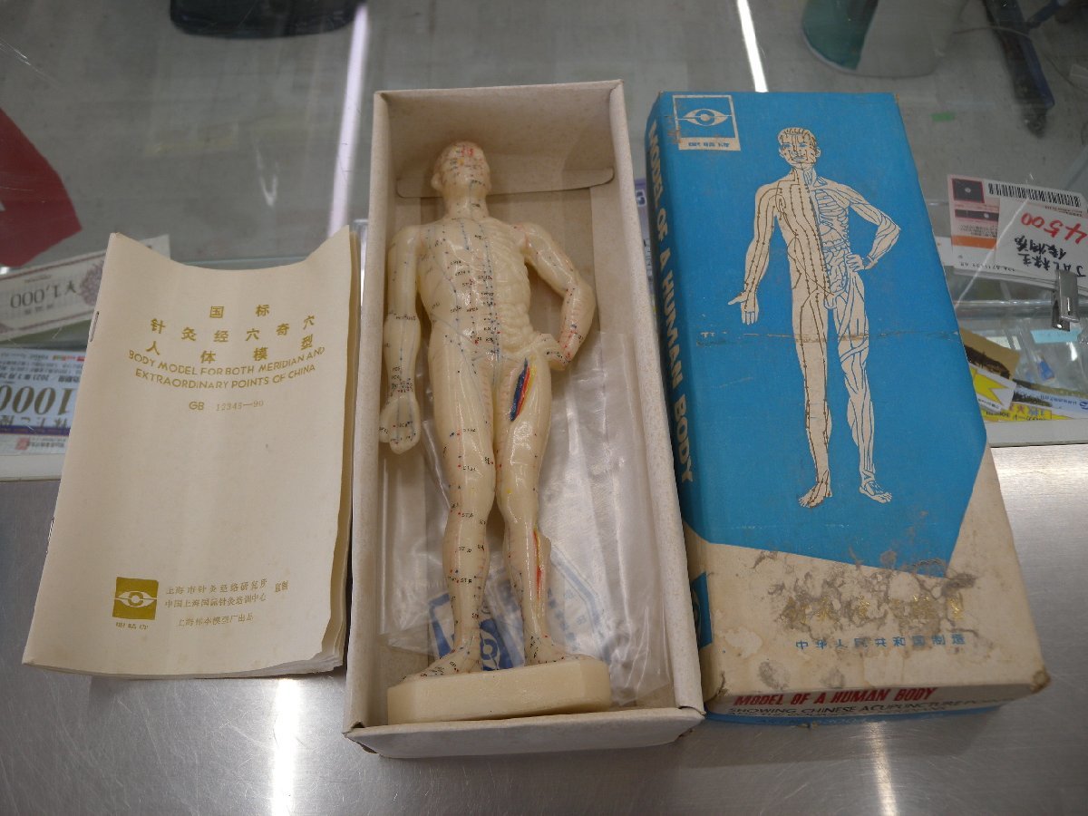 ヤフオク! - 針灸 ツボ 人体模型 経路人形 中古 元箱説明書付き