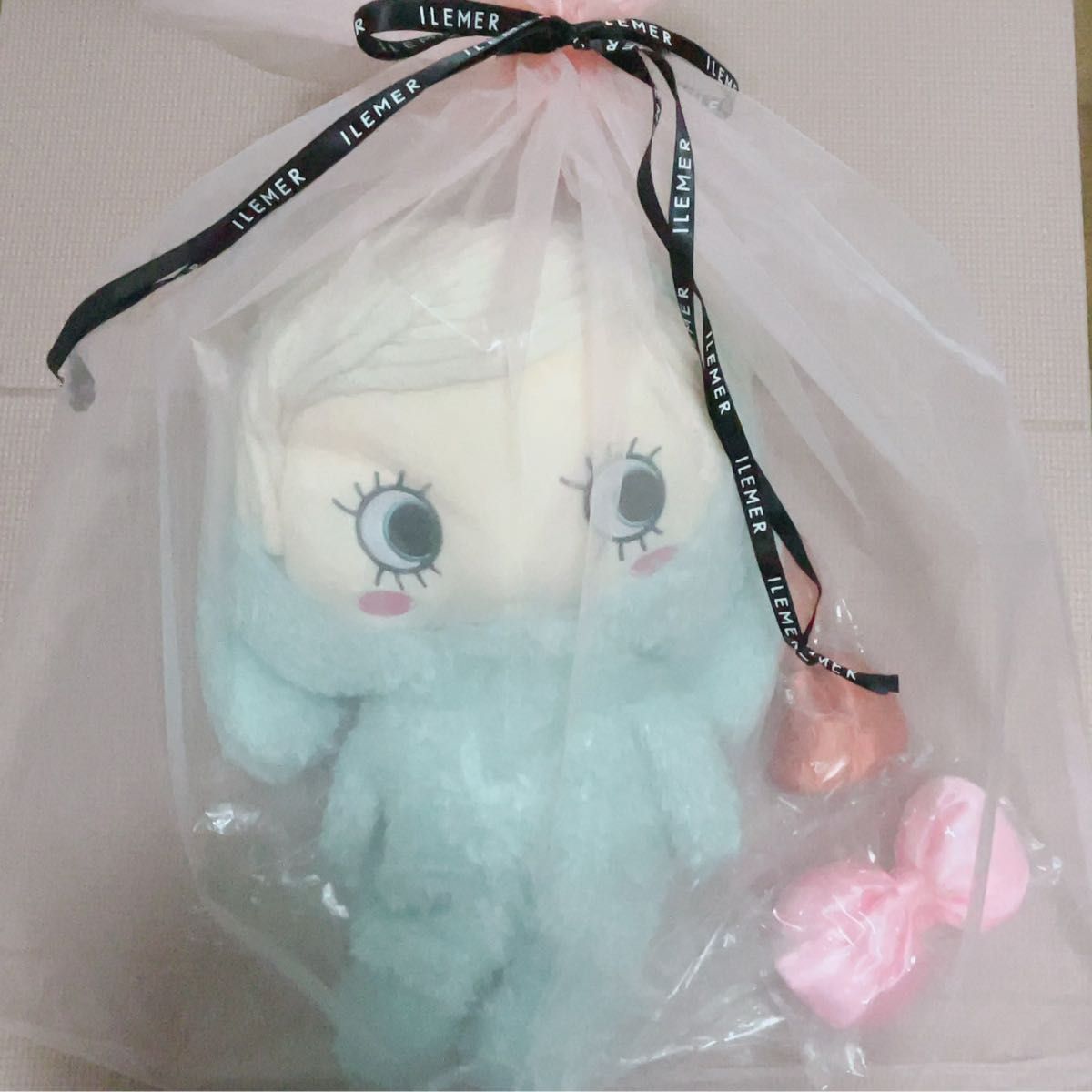 92%OFF!】 ハッピードールプラス ぬいぐるみ A mary いぬ イルメール A