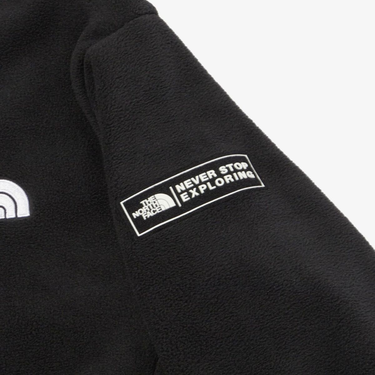 THE NORTH FACE メンズフリースジャケットの商品一覧|ジャケット