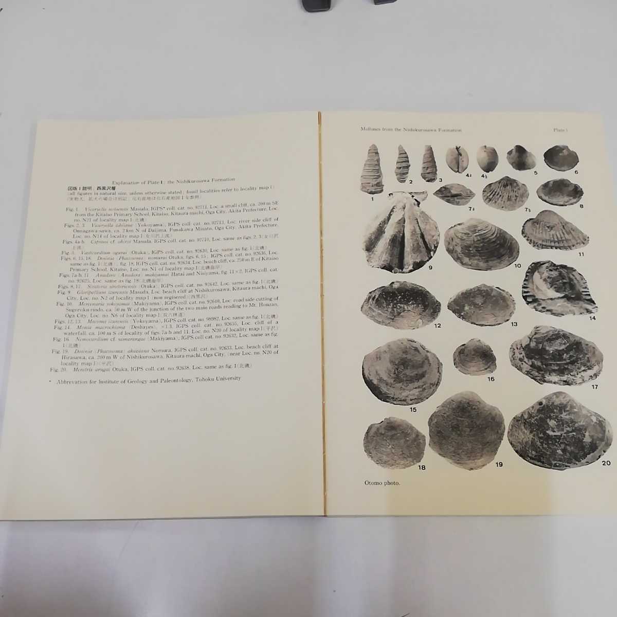 海外 正規品】 わんぱっくコミック レトロ 昭和61年 5月号 1986年 少年
