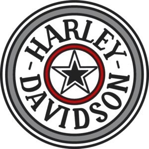 即決　HARLEY-DAVIDSON　ハーレーダビッドソン　ステッカー・デカール　B_画像2