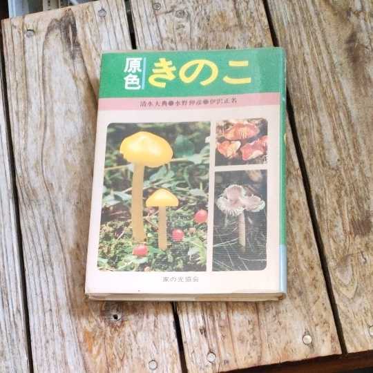 ☆清水大典・水野仲彦・伊沢正名　原色 きのこ　カラーで見る２２４種☆_画像1