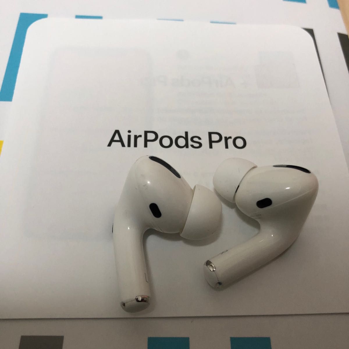 Apple 国内正規品 Airpods Pro エアポッズプロ 両耳のみ イヤフォン | endageism.com