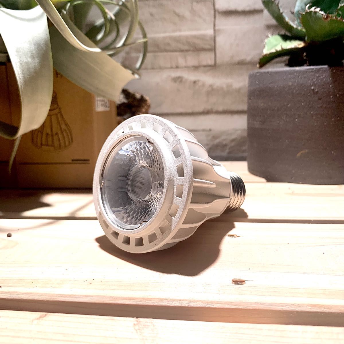 15W植物育成ライトGrowLight 6000K 2個 ライトクリップ2個 15W