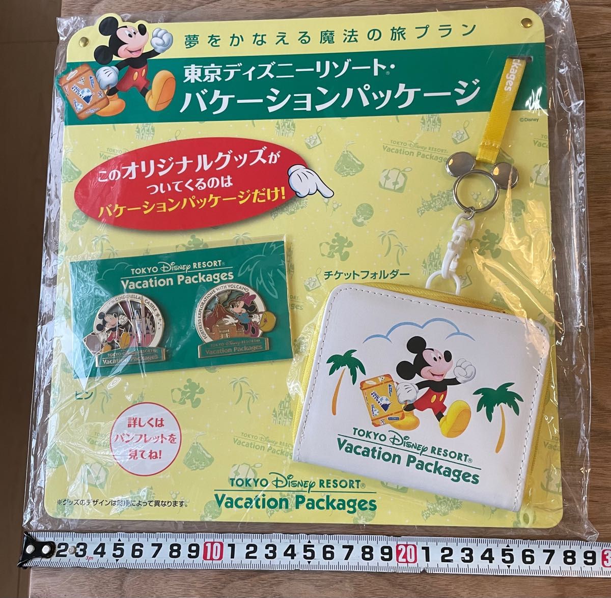 非売品　ディズニーバケーションパッケージ　ピン　チケットホルダー