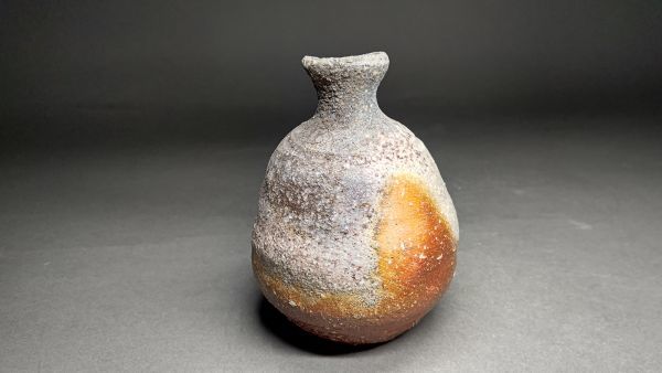 速達メール便♪ galaxydhangadhi.edu.np 伊賀心窯 小島憲二 徳利