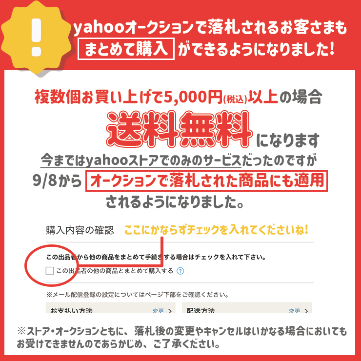 2022人気No.1の + 緋色の幻影 劇場版 + TV版全49巻 【 全51枚 ハンター