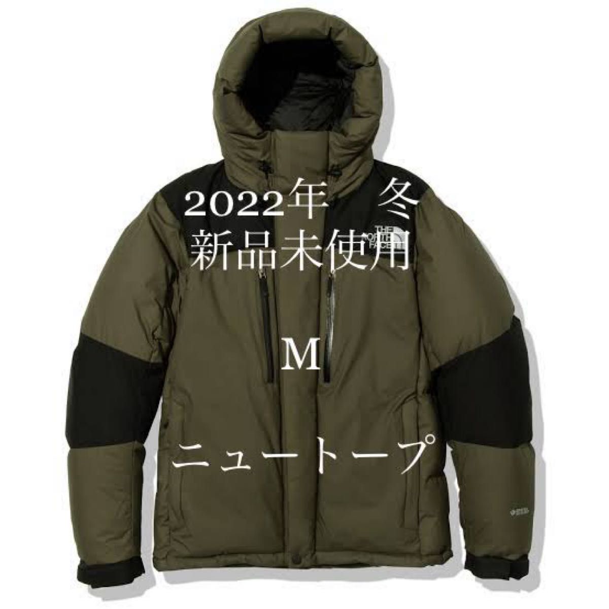 話題の行列 バルトロ 海外限定 【超美品】 M THE ライトジャケット