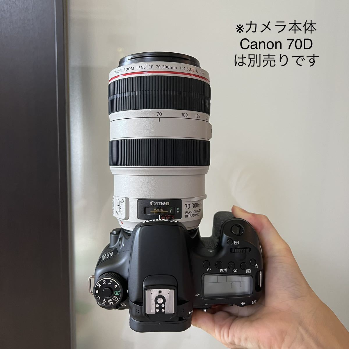 【美品】Canon EF70-300mm F4-5.6L IS USM 望遠レンズ_画像8