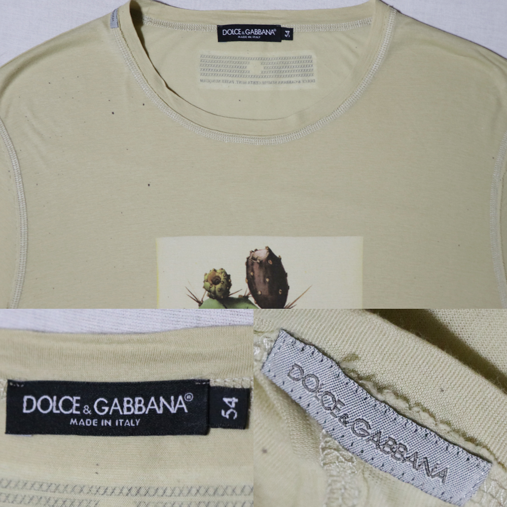 USED品 DOLCE&GABBANA ドルチェ&ガッパーナ サボテン フォトプリントTシャツ MADE IN ITALY ベージュ 54_画像9