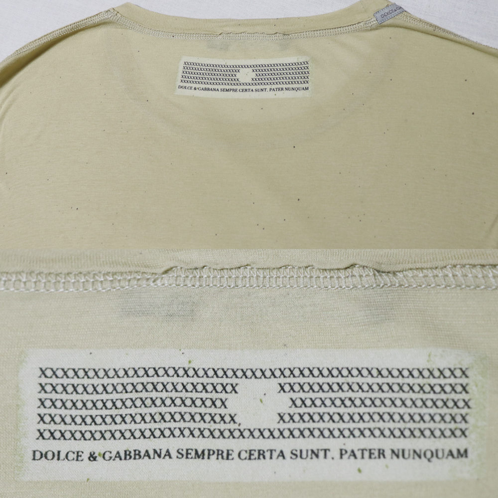 USED品 DOLCE&GABBANA ドルチェ&ガッパーナ サボテン フォトプリントTシャツ MADE IN ITALY ベージュ 54_画像8