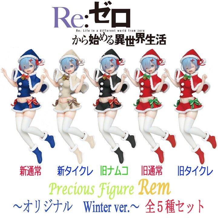 Re ゼロから始める異世界生活 リゼロ レム Winter Ver 5種類セット