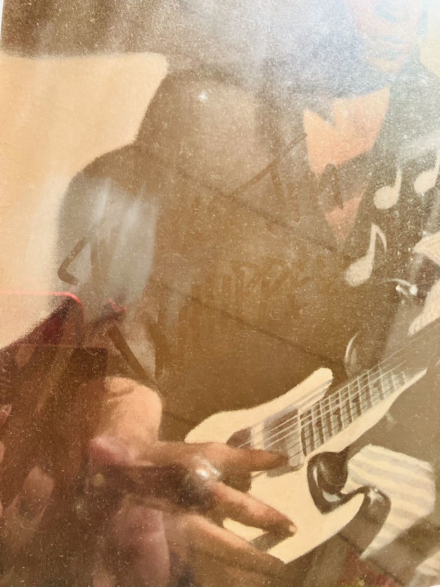 STEVIE RAY VAUGHAN /スティービーレイヴォーン サイン 鑑定証