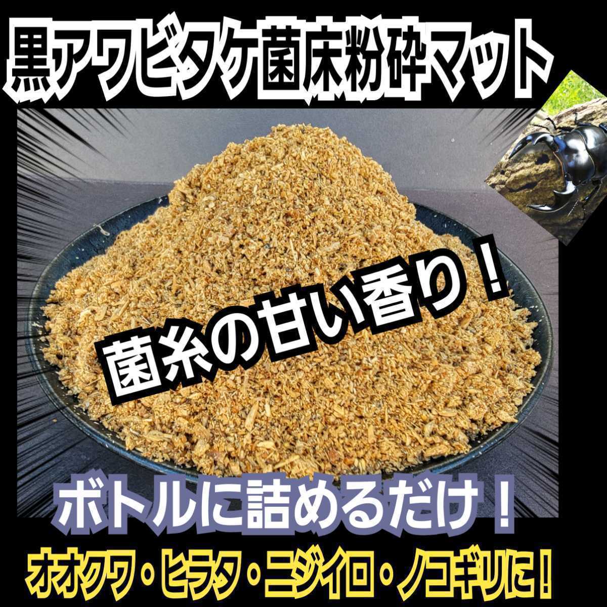 黒アワビタケ菌床粉砕クワガタマット　ボトルに詰めるだけ！クヌギ100％原料使用　オオクワガタ・ヒラタ・ニジイロ・ノコギリ系にお薦め_画像2