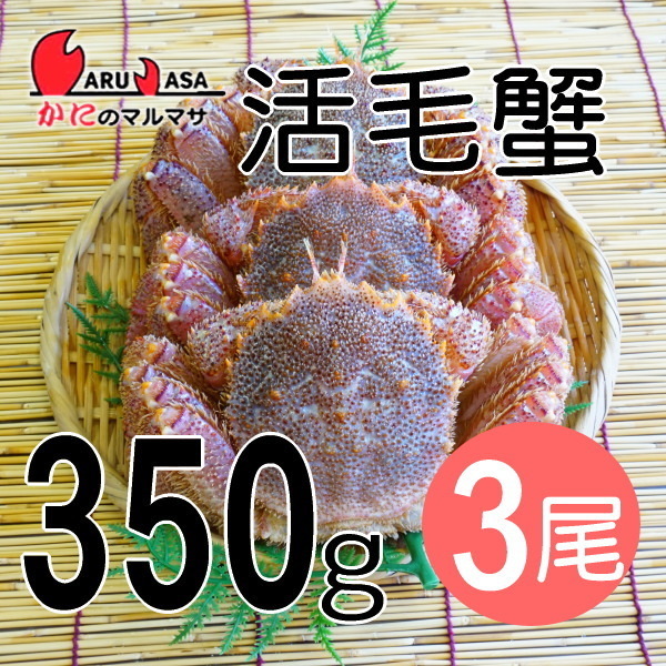 【かにのマルマサ】活蟹専門店 北海道産 活毛ガニ350g 3尾セット_画像1