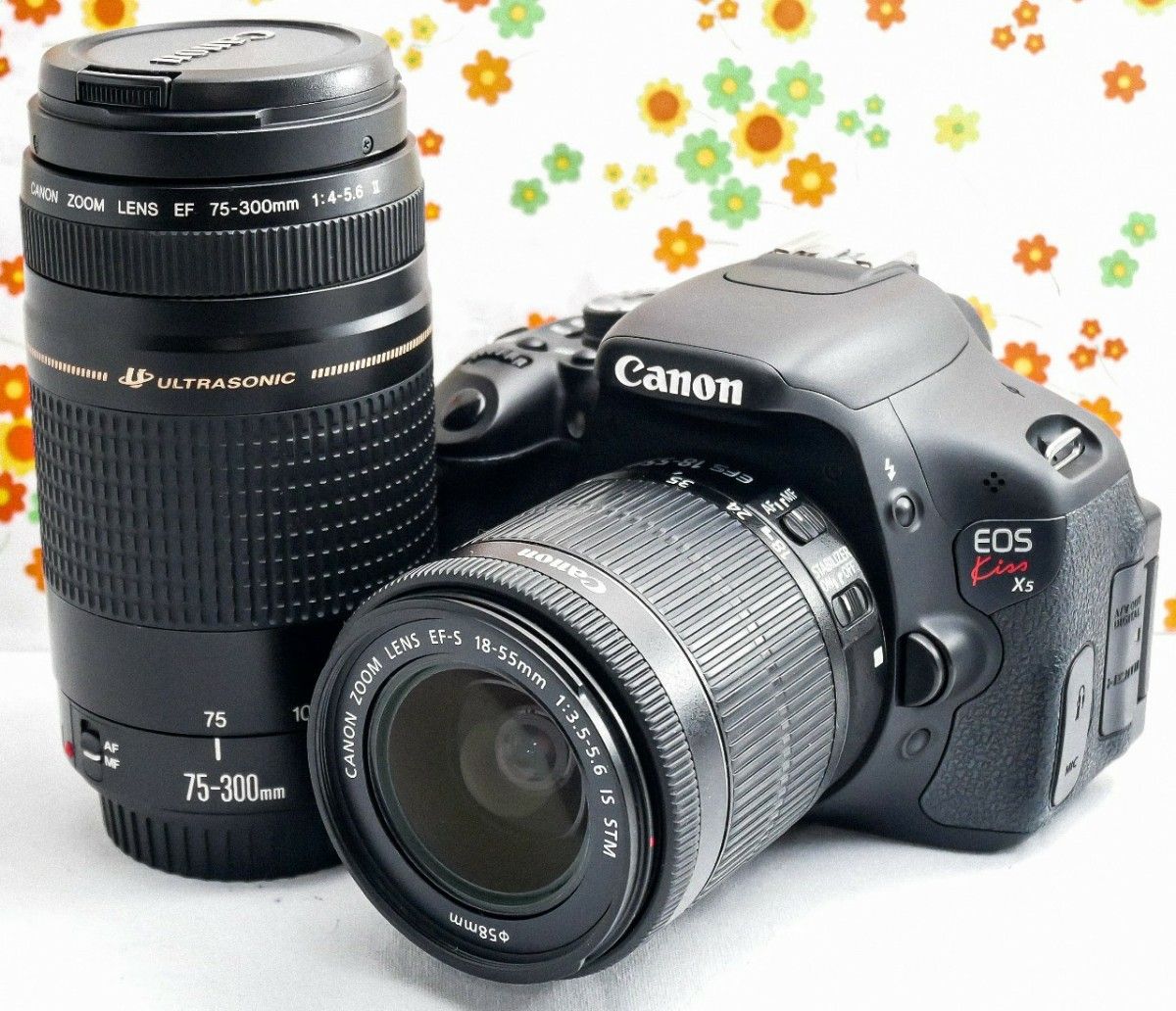 カメラ デジタルカメラ Canon Kiss X5☆スマホ転送OK☆撮影の幅が広がる一眼レフ♪2761 www 