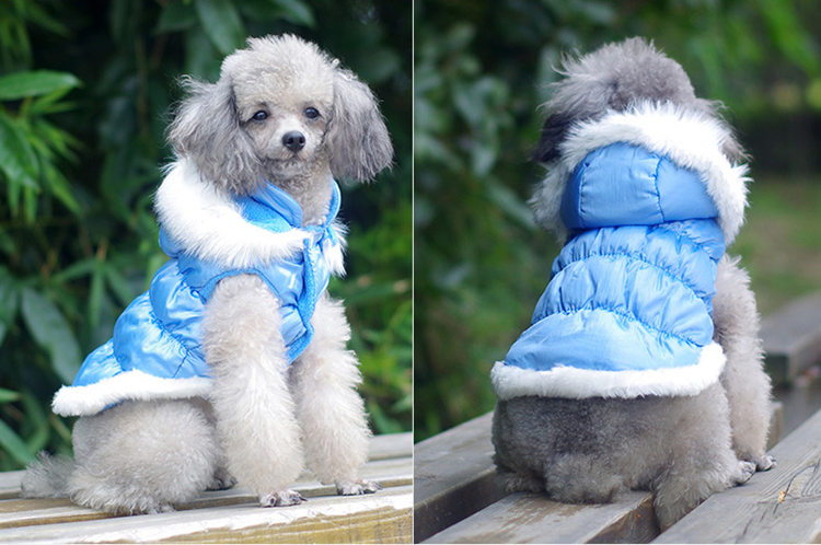  собака. одежда жакет с капюшоном . теплый обратная сторона ворсистый товары для домашних животных DOG одежда собака одежда собака для зимний костюм голубой 
