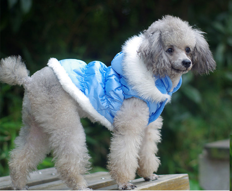 собака. одежда жакет с капюшоном . теплый обратная сторона ворсистый товары для домашних животных DOG одежда собака одежда собака для зимний костюм голубой 