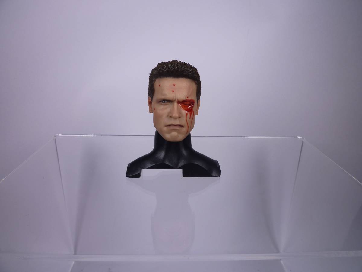 Hottoys Terminator T-800shuwarutsenega- head . hot toys series 1/6 figure clothes DID ACI DAM etc. military 