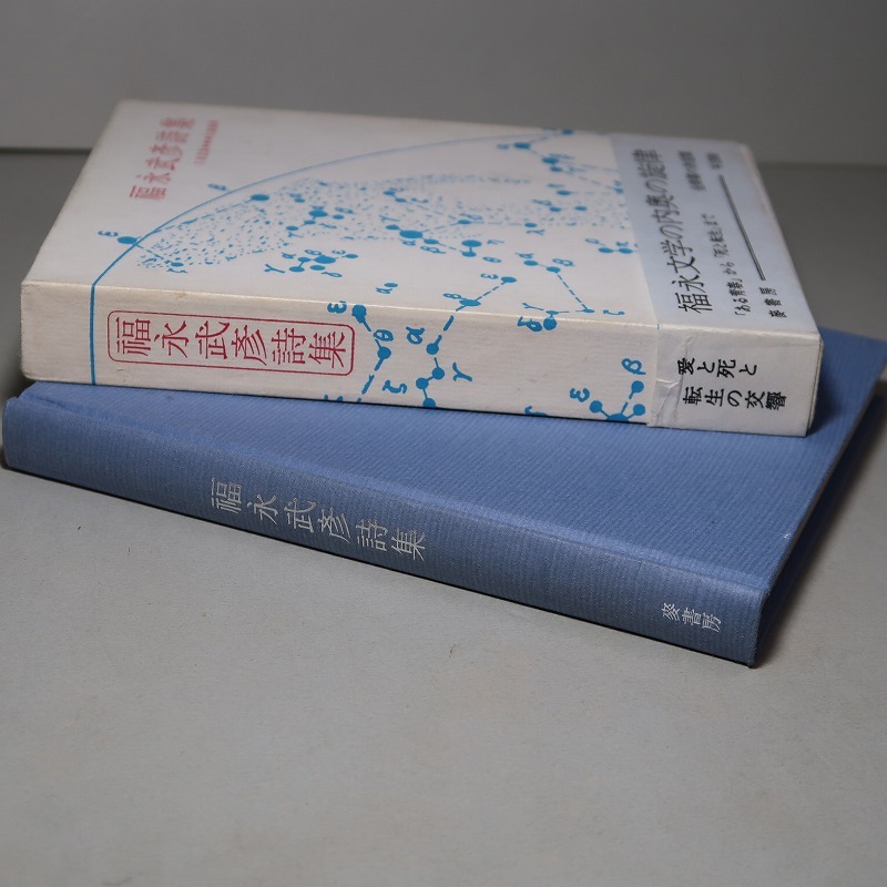 福永武彦 未刊行著作集 函入り 絶版 売上半額 www.obattabetta.jp