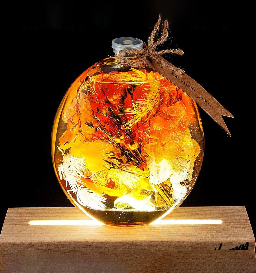 * непрямое освещение . соединять . замечательный * orange гербарий консервированный цветок интерьер цветок цветок живые цветы растения образец подарок подарок 