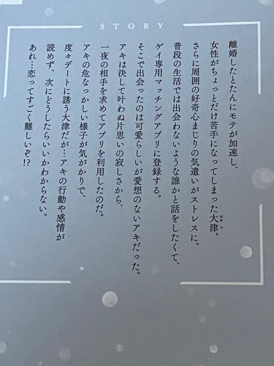 【BL432】それじゃあこれから何をする? 木山はる ふきげんなディア 桜庭先生の稀有な悩み 秋雨るい ［リブレ出版]